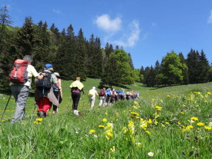 Jura wandern