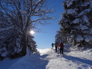 Schneeschuh_Pulverschnee