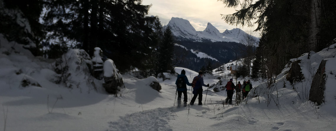 Abend-Schneeschuhwanderung Toggenburg
